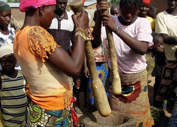 Nouvelles d'Afrique - Les métiers féminins