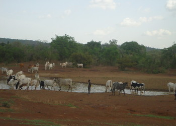 Un avenir en Afrique